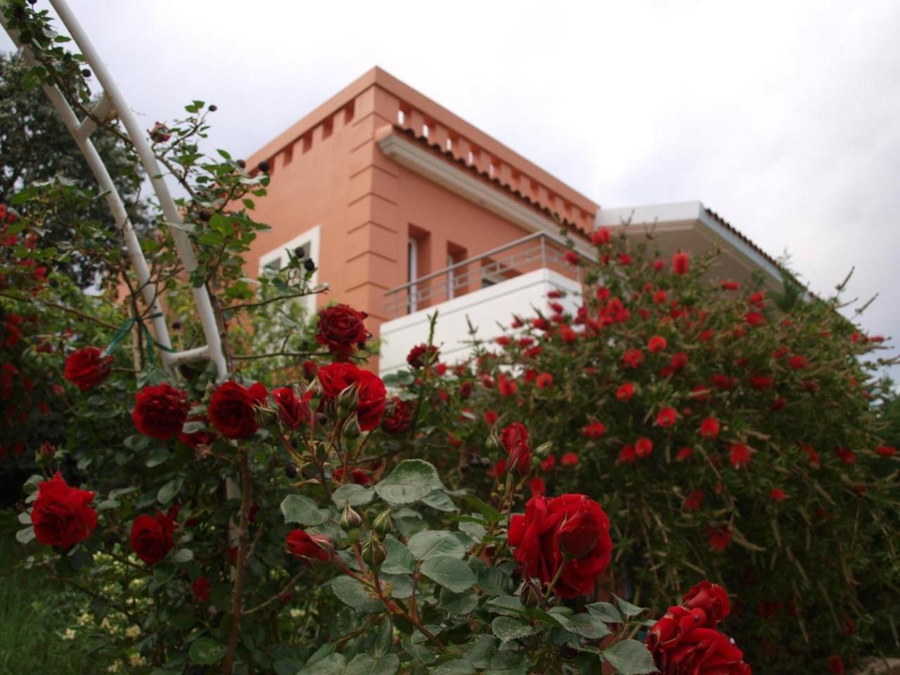 Thalassa Hotel & Spa Paleros 외부 사진